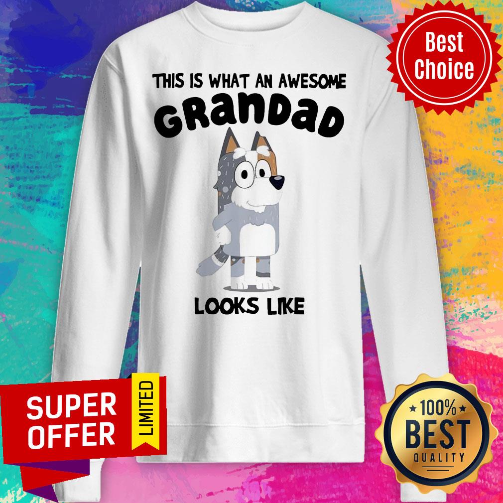 Bandit Heeler This Is What An Awesome Grandpa Bandit Heeler Looks Like Shirt - Image 5
