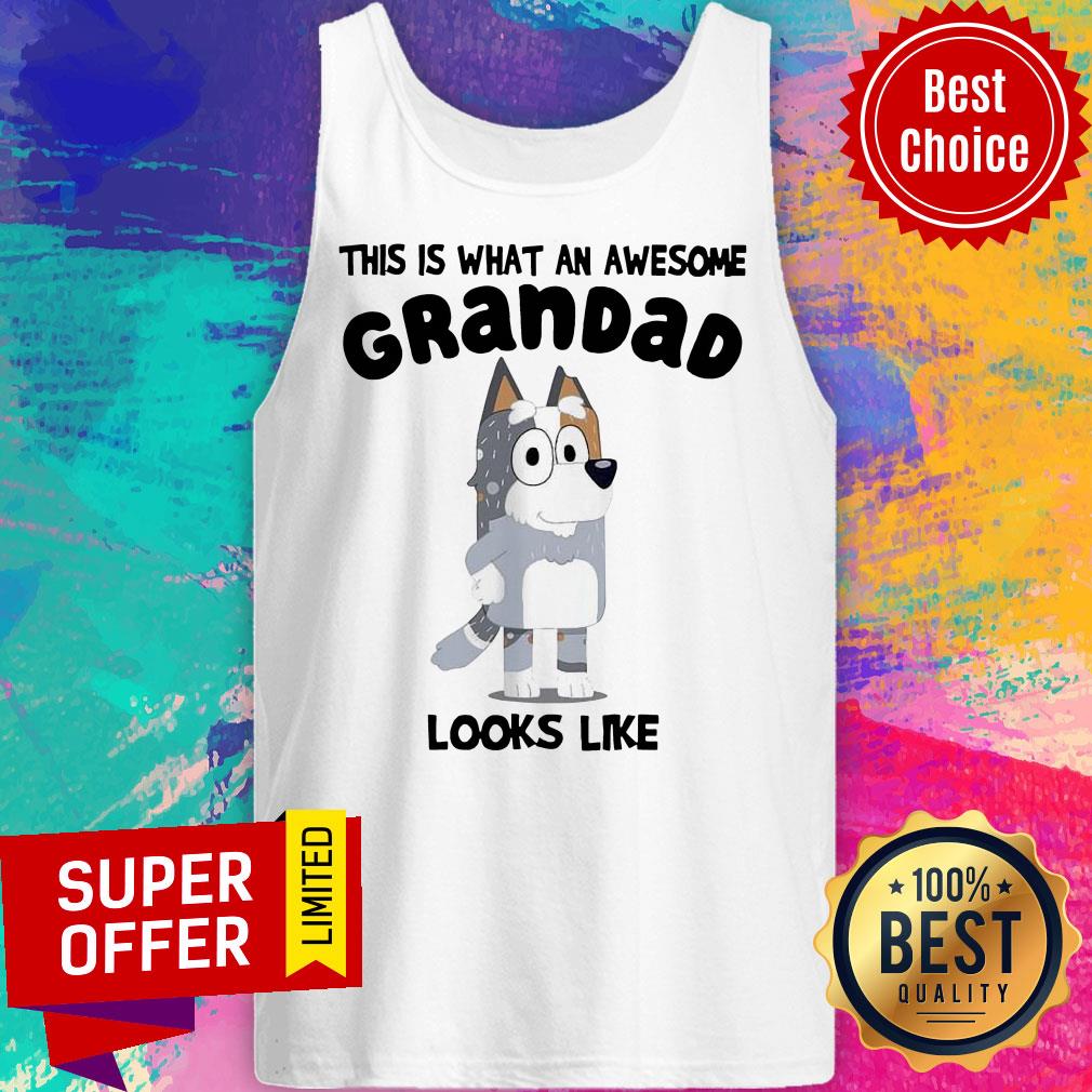 Bandit Heeler This Is What An Awesome Grandpa Bandit Heeler Looks Like Shirt - Image 4