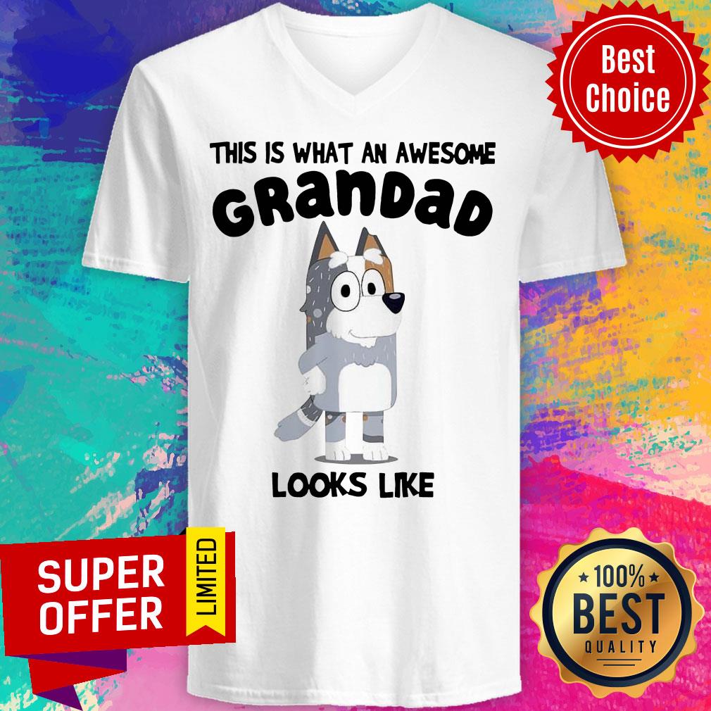 Bandit Heeler This Is What An Awesome Grandpa Bandit Heeler Looks Like Shirt - Image 3
