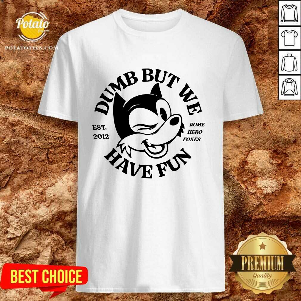 Rome Hero Foxes Dumb But We Have Fun T-shirt