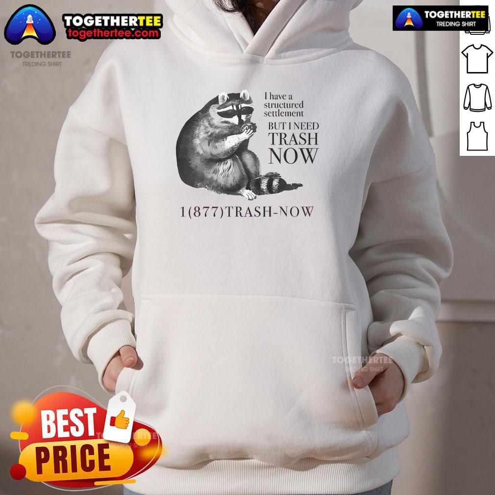 Nice Raccoon I Have A Structured Settlement But I Need Trash Now T-Shirt - Image 2