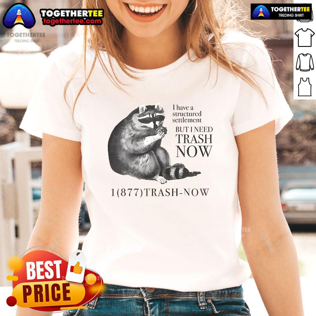 Nice Raccoon I Have A Structured Settlement But I Need Trash Now T-Shirt - Image 3