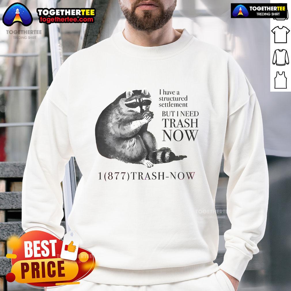 Nice Raccoon I Have A Structured Settlement But I Need Trash Now T-Shirt - Image 5