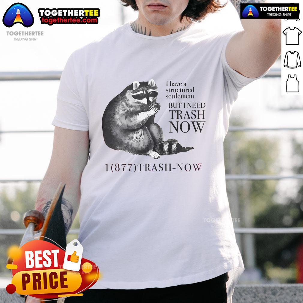 Nice Raccoon I Have A Structured Settlement But I Need Trash Now T-Shirt