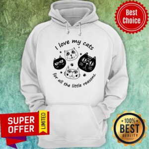Alternative view of Funny I Love My Cats For All The Little Reasons Shirt