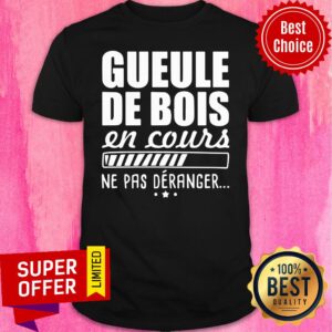 Nice Gueule De Bois En Cours Ne Pas Deranger Shirt