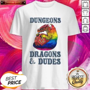 LGBT Dungeons Dragons Dudes Perfect Top Official Nice Shirt