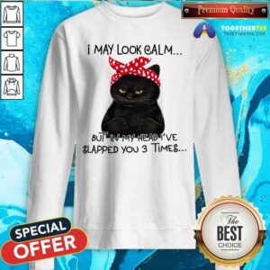 Alternative view of Black Cat I May Look Calm But Slapped You 3 Times Shirt