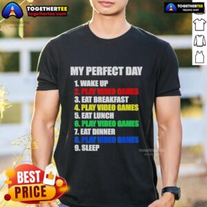 Official The Perfect Gaming Day Gamers T-Shirt