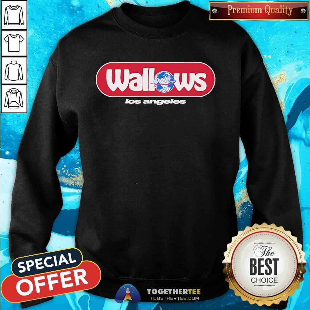 Awesome Wallows Globe Los Angeles T-Shirt - Image 4