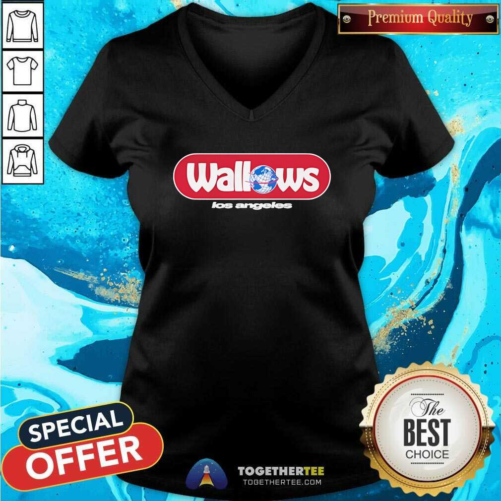 Awesome Wallows Globe Los Angeles T-Shirt - Image 2