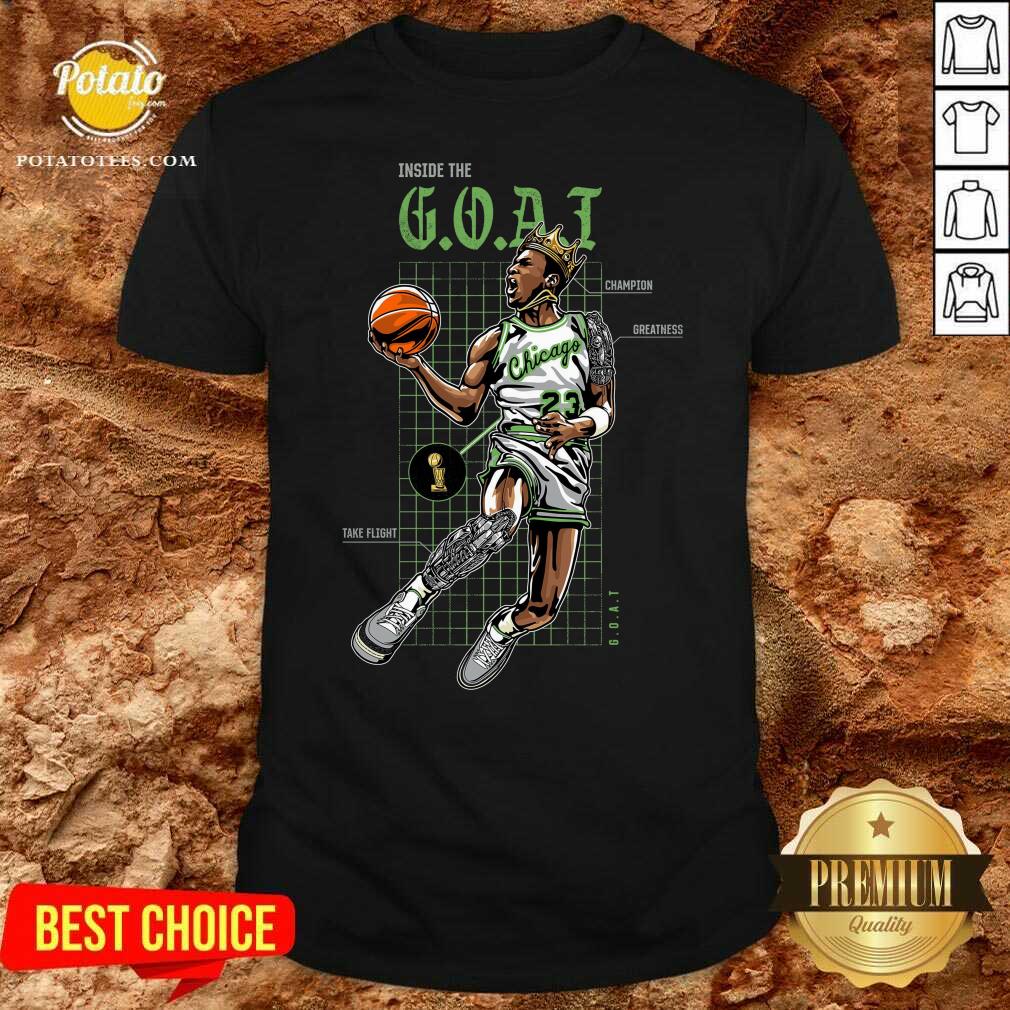 Good Jordan 11 Bred Inside the Goat Shirt