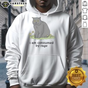 Alternative view of Premium Cat I Am Consumed By Rage T-Shirt