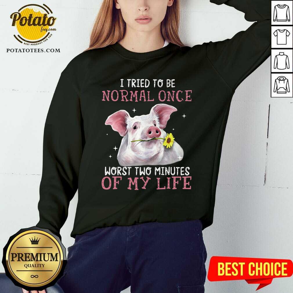 Pig I Tried To Be Normal Once Of My Life Shirt - Image 4