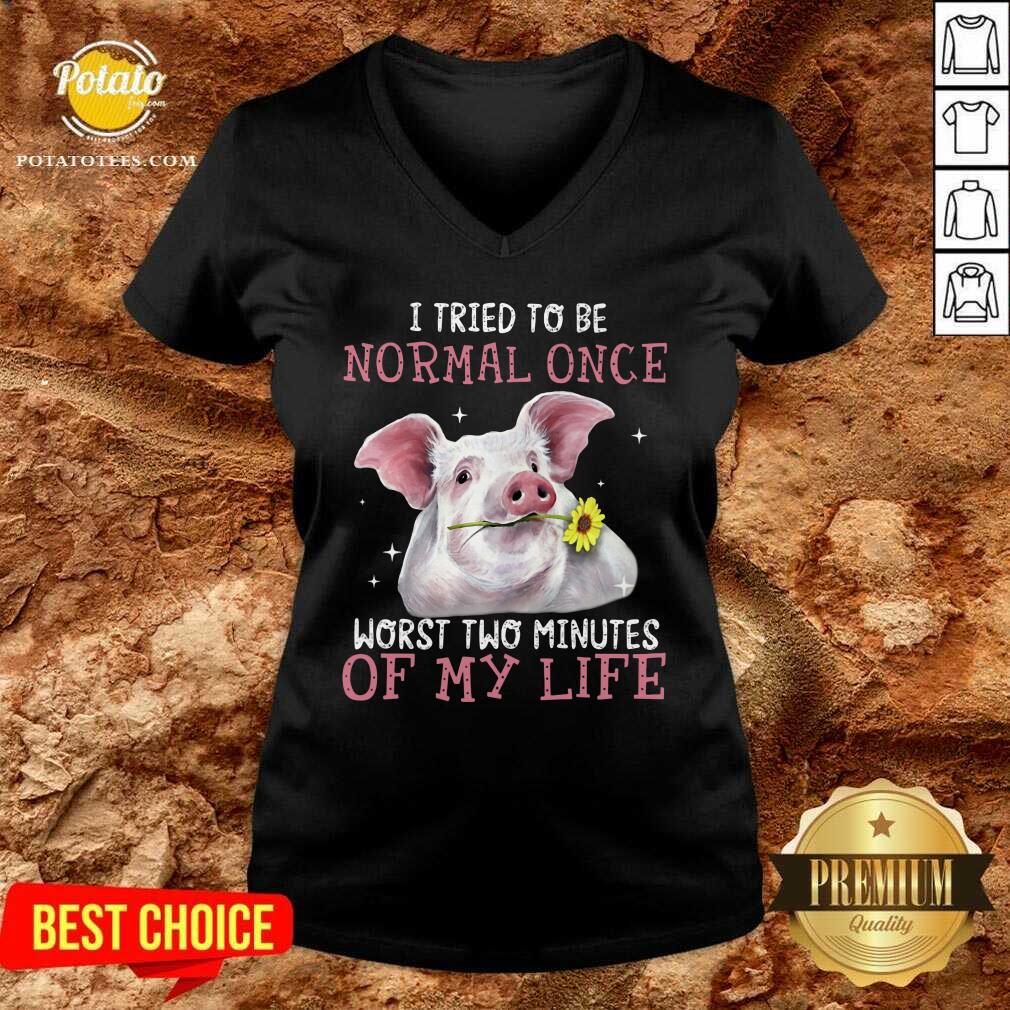 Pig I Tried To Be Normal Once Of My Life Shirt - Image 2