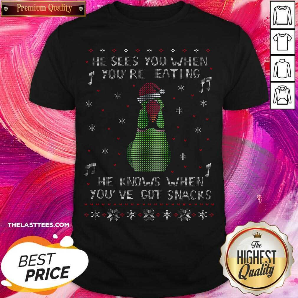 Love Parrot He Sees You When You’re Eating He Knows When You’ve Got Snacks Ugly Christmas Shirt