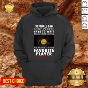 Alternative view of Softball Dad Some People Have To Wait Their Entire Lives To Meet Their Favorite Player Shirt