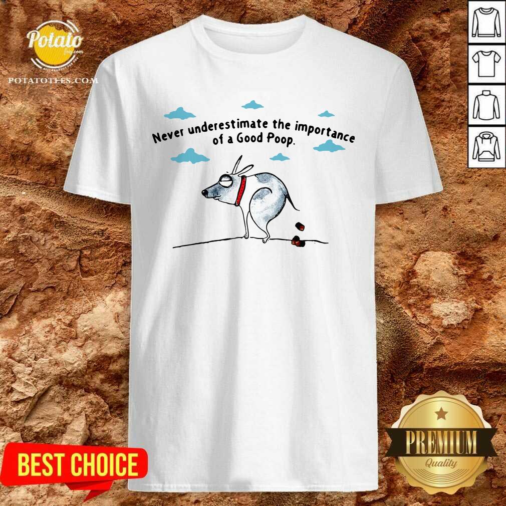 Good Never Underestimate The Importance Of A Good Poop Shirt