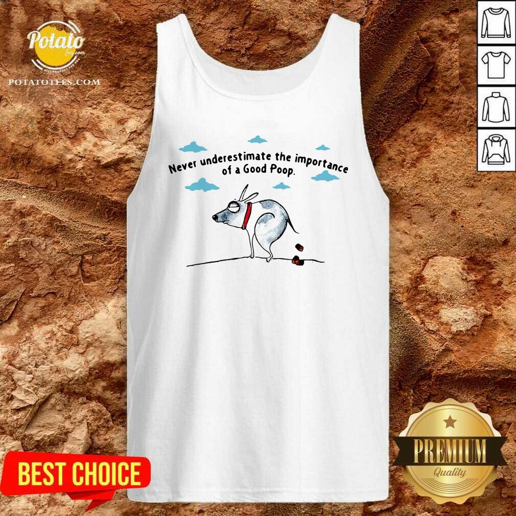 Good Never Underestimate The Importance Of A Good Poop Shirt - Image 3