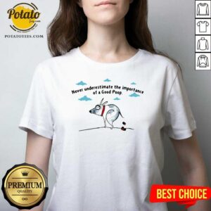 Alternative view of Good Never Underestimate The Importance Of A Good Poop Shirt