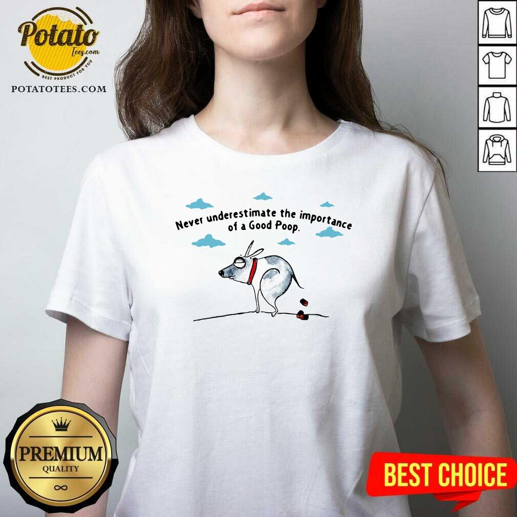 Good Never Underestimate The Importance Of A Good Poop Shirt - Image 2