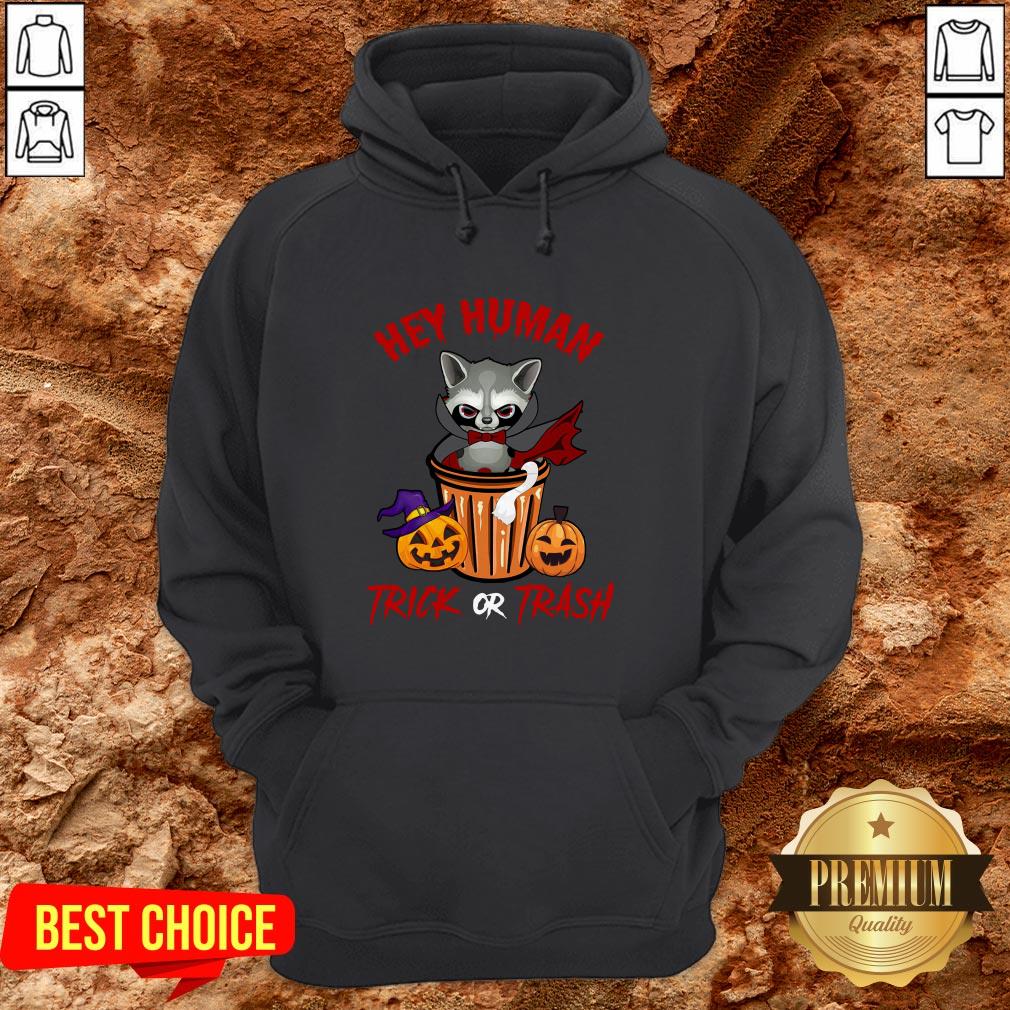 Hey Human Trick Or Trash Racoon Funny Trash Panda Candy Pumpkin Halloween Street Animal Shirt - Image 5