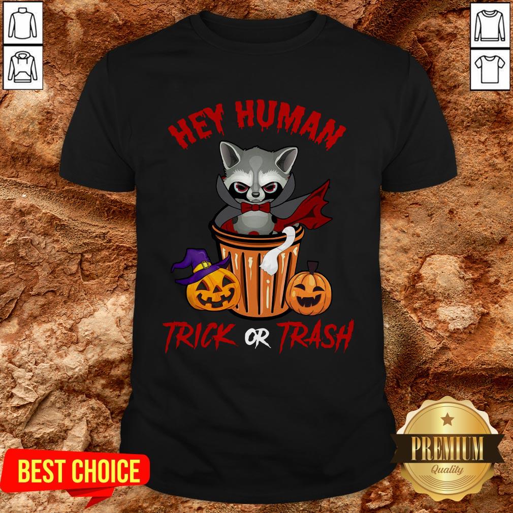 Hey Human Trick Or Trash Racoon Funny Trash Panda Candy Pumpkin Halloween Street Animal Shirt