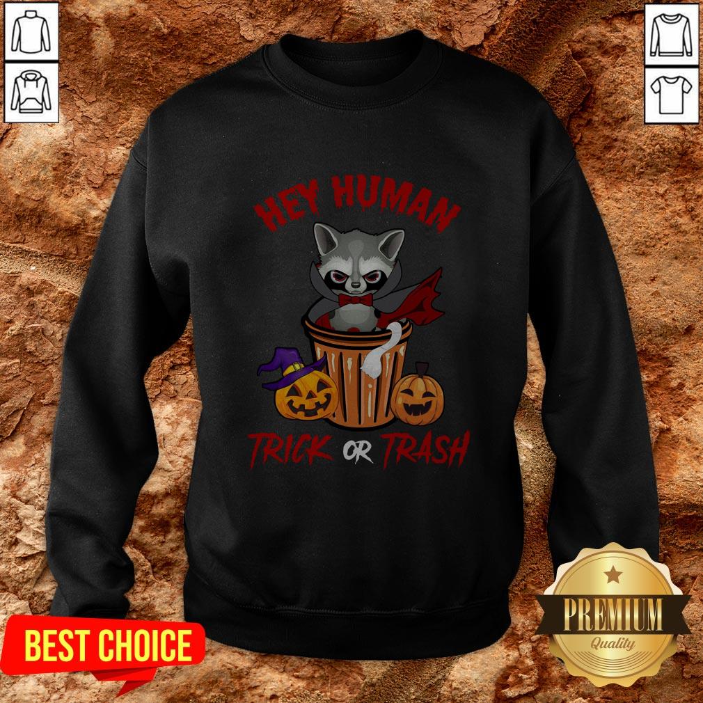 Hey Human Trick Or Trash Racoon Funny Trash Panda Candy Pumpkin Halloween Street Animal Shirt - Image 4