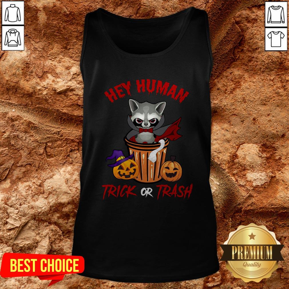 Hey Human Trick Or Trash Racoon Funny Trash Panda Candy Pumpkin Halloween Street Animal Shirt - Image 3