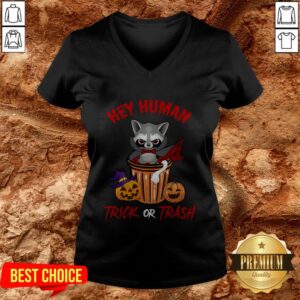 Alternative view of Hey Human Trick Or Trash Racoon Funny Trash Panda Candy Pumpkin Halloween Street Animal Shirt