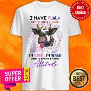 Have P M A Positive Mental Attitude I'm Positive I'm Mental And I Know I Have Attitude Shirt