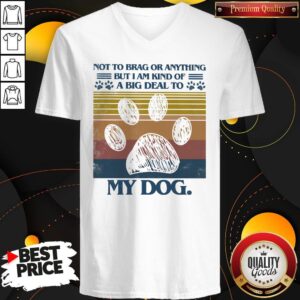 Alternative view of Cute Not To Brag Or Anything But I Am Kind Of A Big Deal To My Dog Paw Vintage Retro Shirt