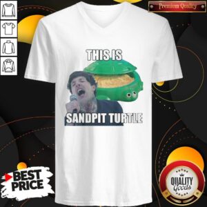 Alternative view of This Is Sandpit Turtle Shirt