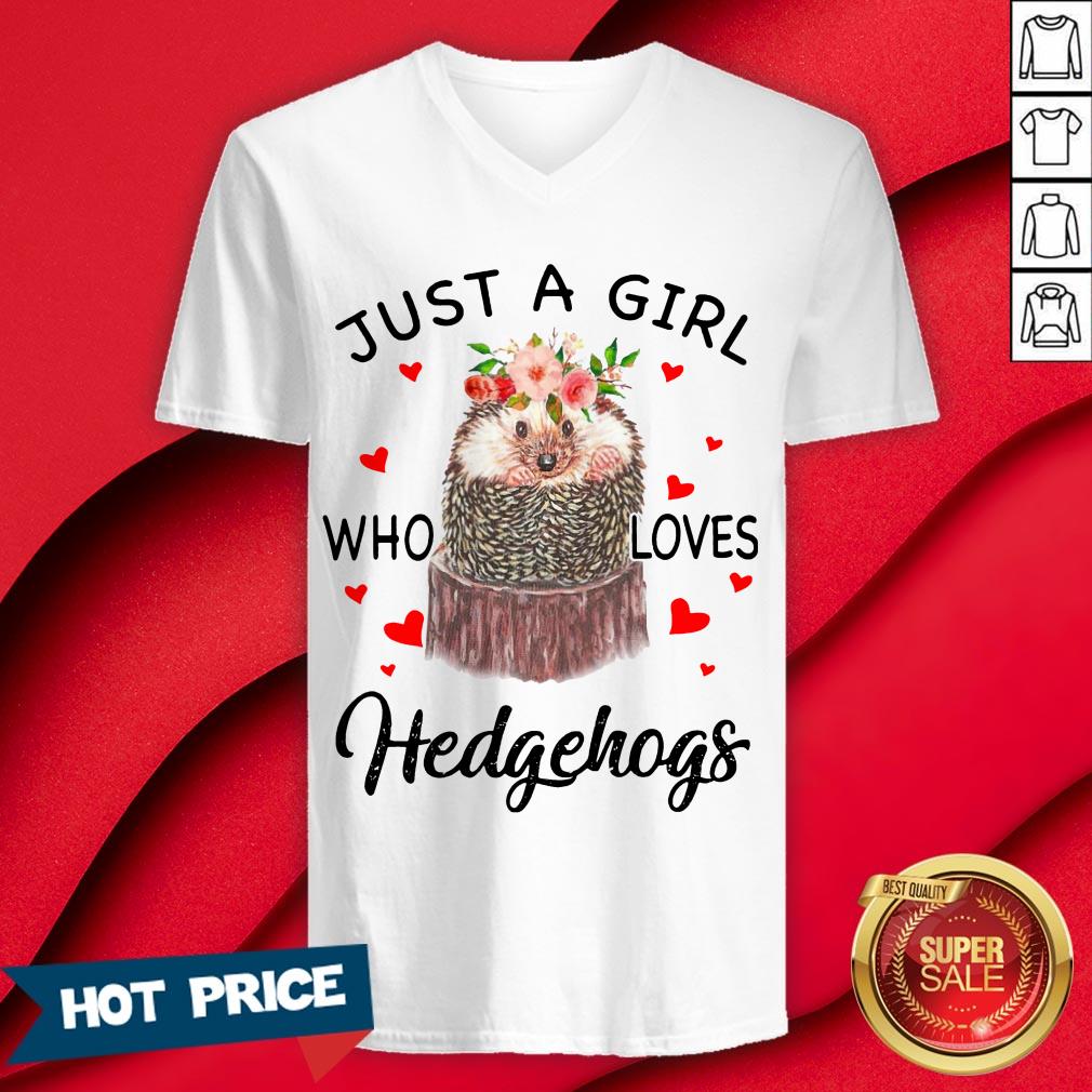 Just A Girl Who Loves Hedgehogs Shirt - Image 3