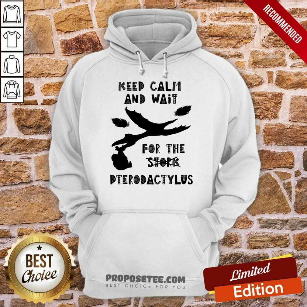 Keep Calm And Wait For The Stock Pterodactyl Shirt - Image 4