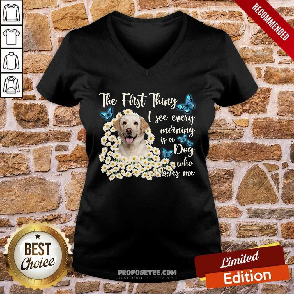Labrador I See Every Morning Is A Dog Who Loves Me Shirt - Image 3