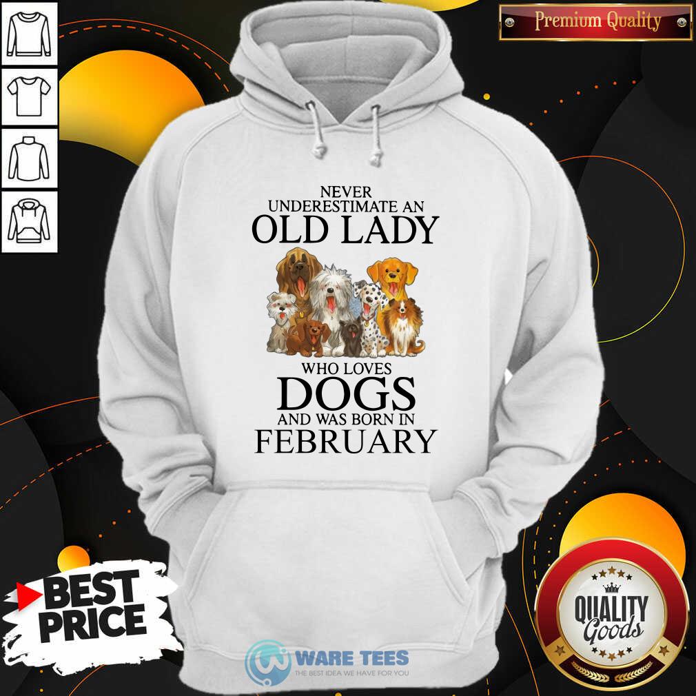 Never Underestimate A Feb Lady Who Loves Dogs Shirt - Image 5
