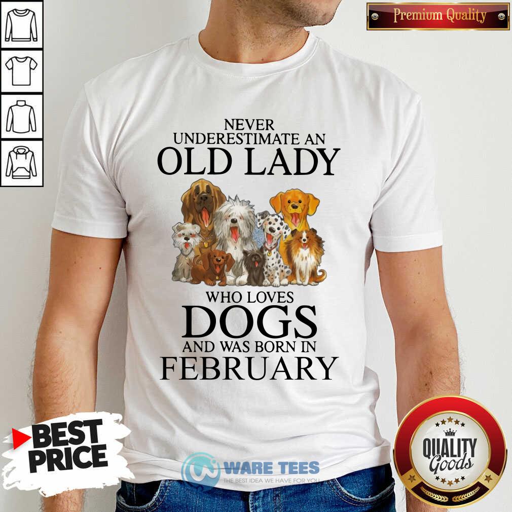 Never Underestimate A Feb Lady Who Loves Dogs Shirt - Image 4