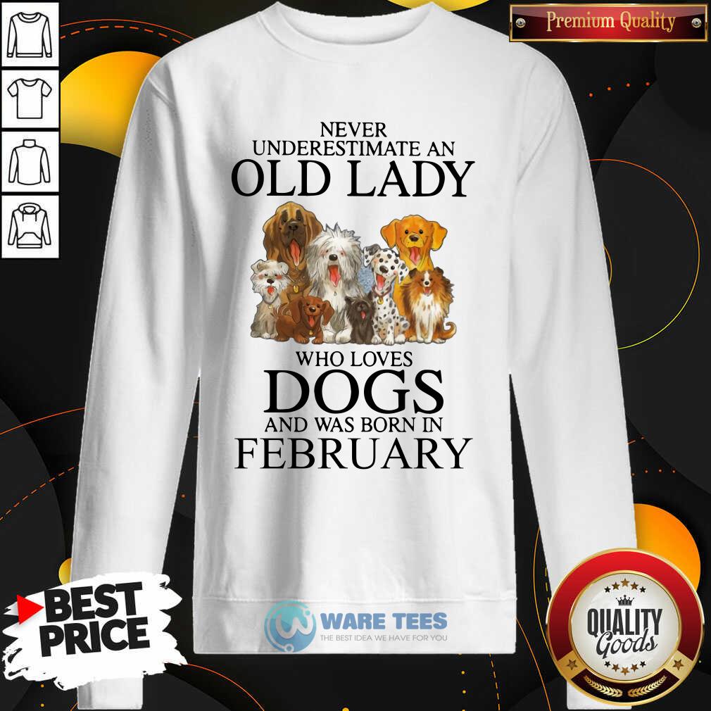 Never Underestimate A Feb Lady Who Loves Dogs Shirt - Image 3