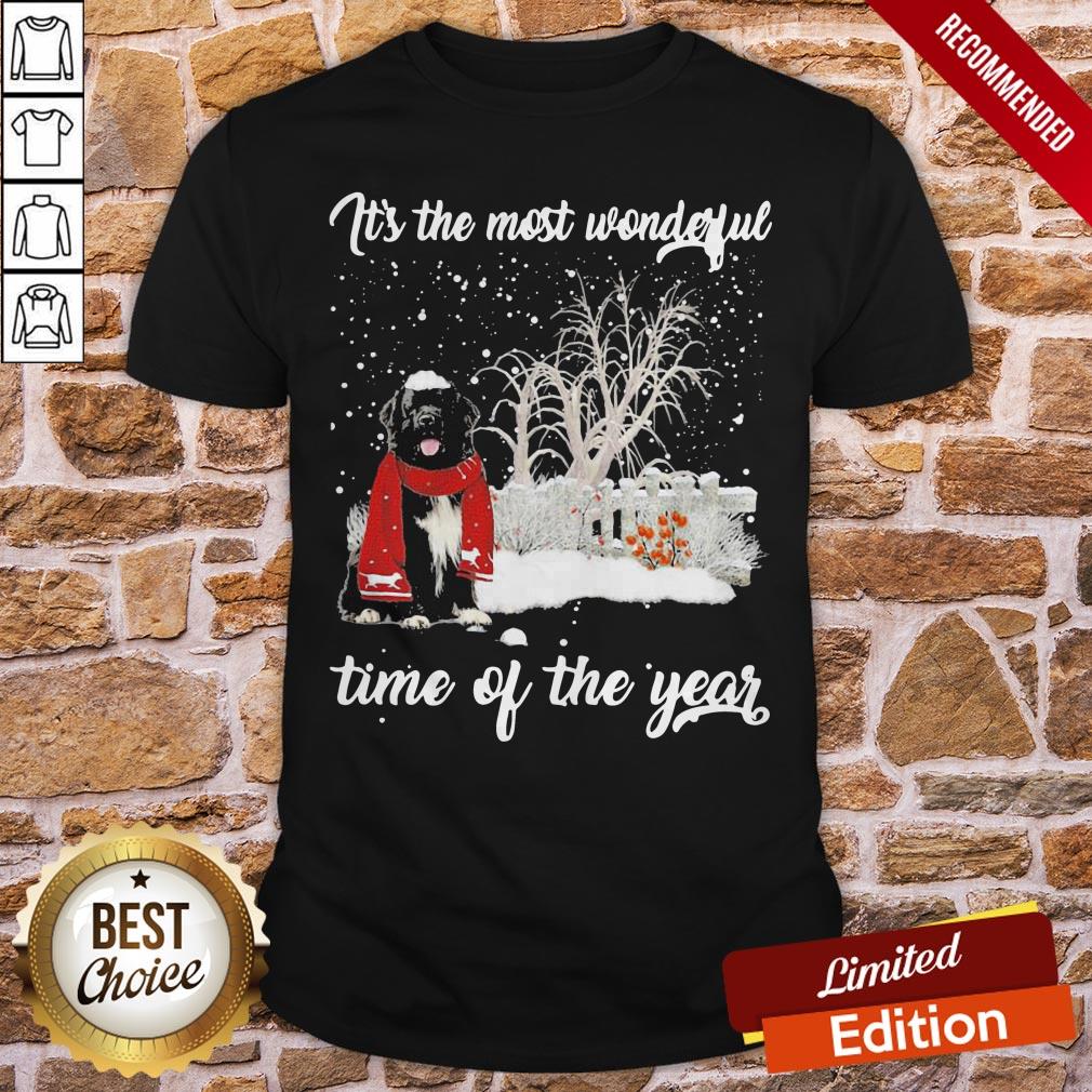 Newfoundland It’s The Most Wonderful Time Of The Year Shirt