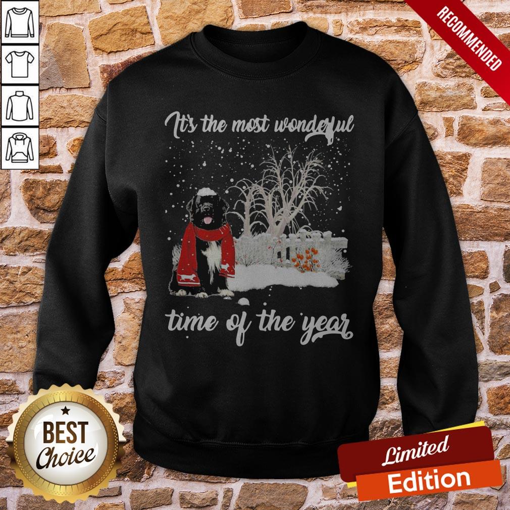 Newfoundland It’s The Most Wonderful Time Of The Year Shirt - Image 4