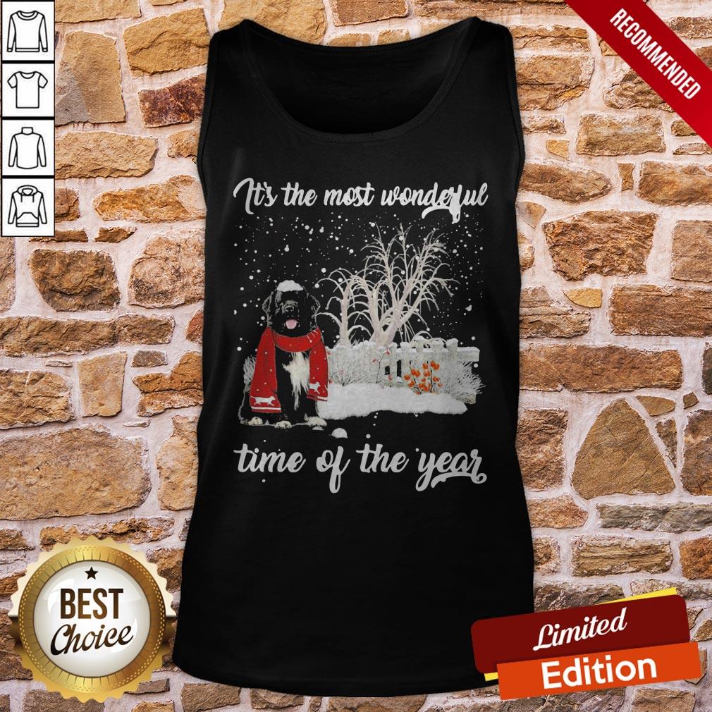 Newfoundland It’s The Most Wonderful Time Of The Year Shirt - Image 3