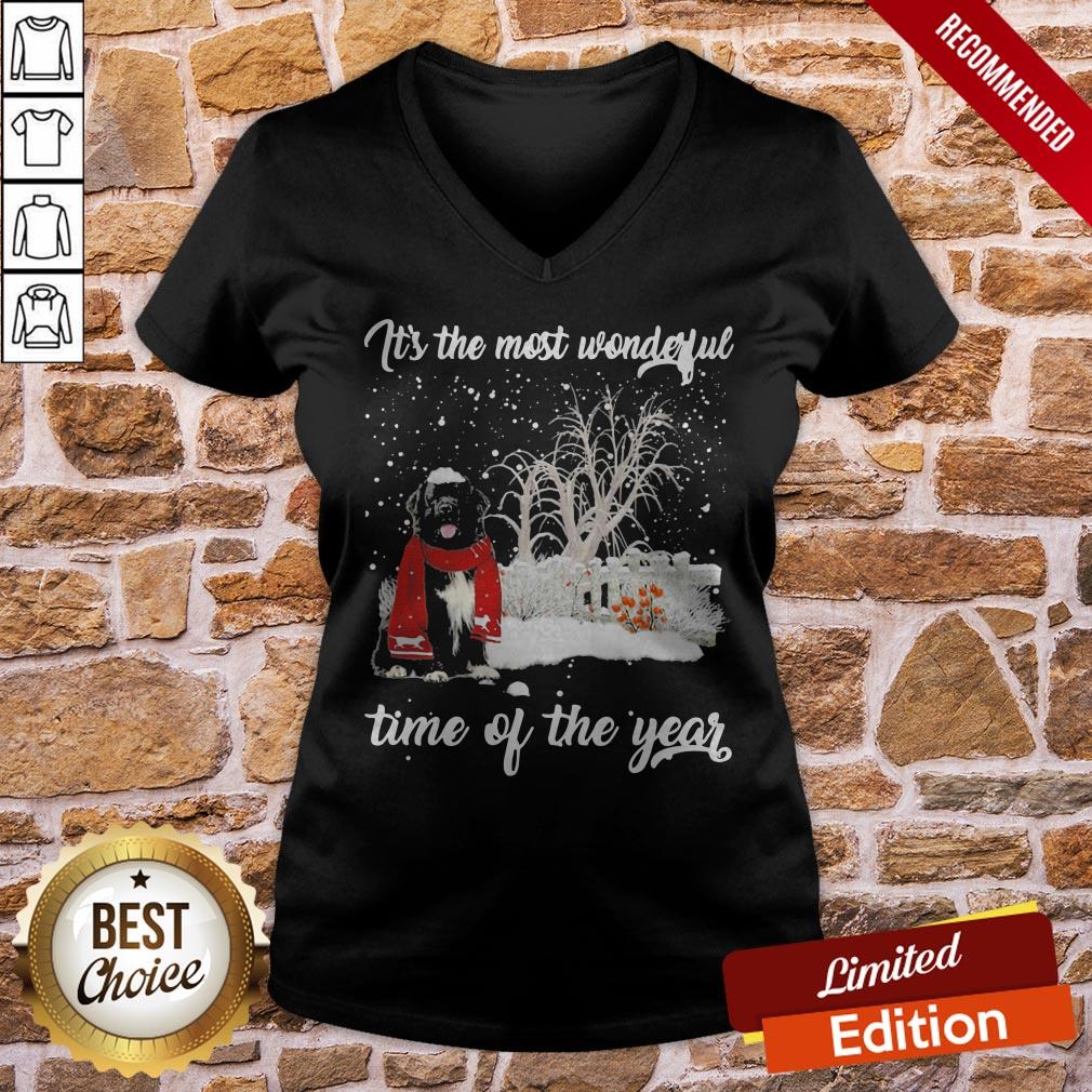 Newfoundland It’s The Most Wonderful Time Of The Year Shirt - Image 2