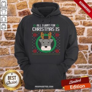 Alternative view of Nice All I Want For Christmas Is A Schnauzerl Ugly Christmas Gift Shirt