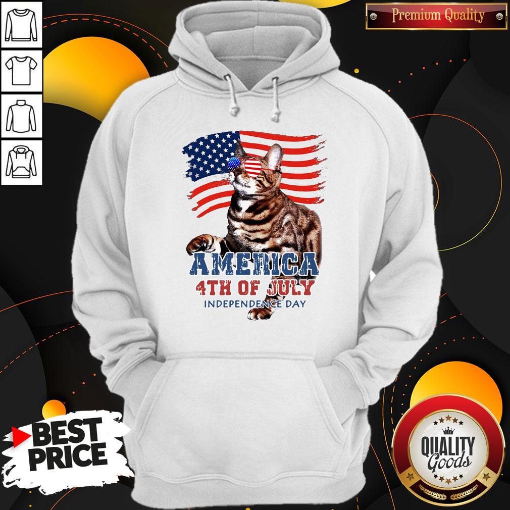 NICE CAT AMERICAN 4TH OF JULY FLAG VETERAN INDEPENDENCE DAY SHIRT - Image 2