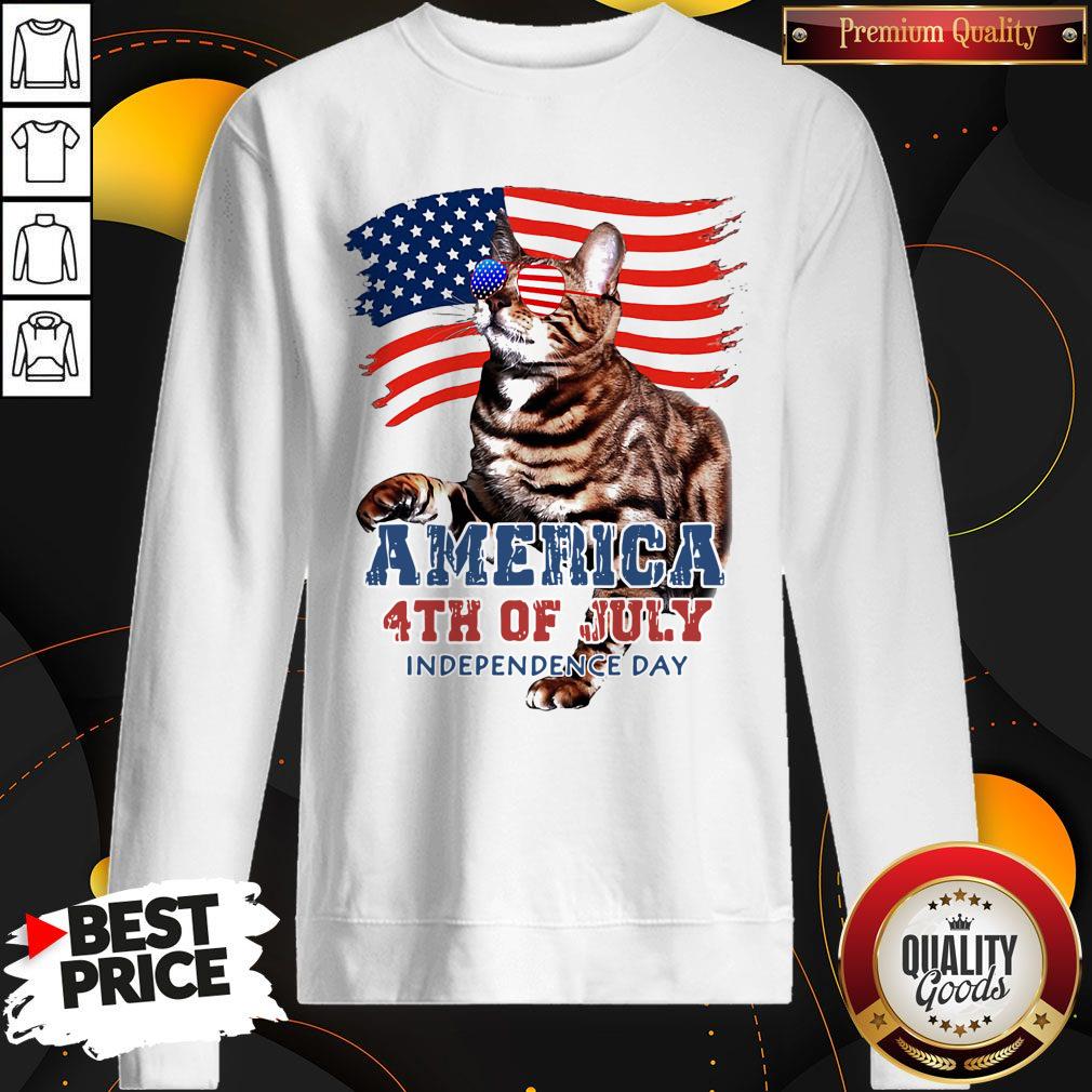 NICE CAT AMERICAN 4TH OF JULY FLAG VETERAN INDEPENDENCE DAY SHIRT - Image 5