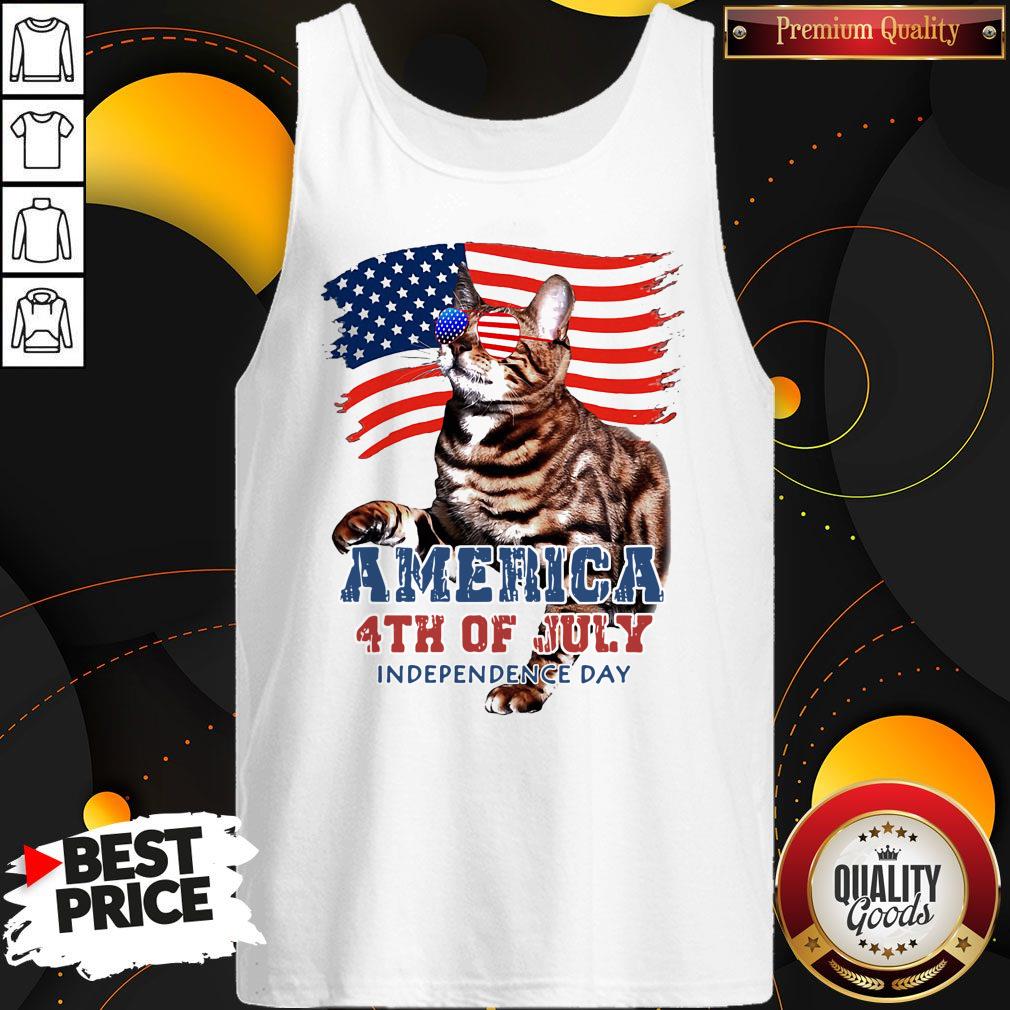 NICE CAT AMERICAN 4TH OF JULY FLAG VETERAN INDEPENDENCE DAY SHIRT - Image 4