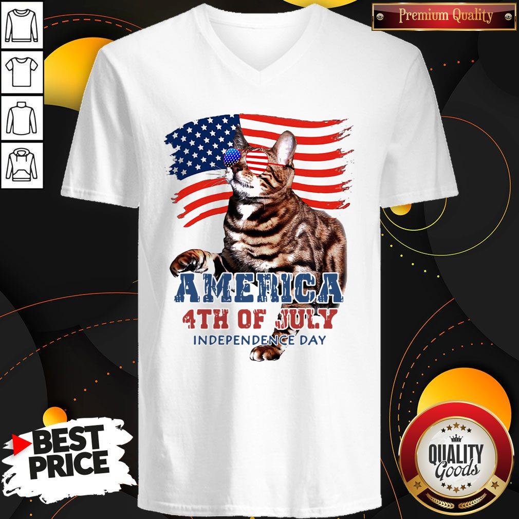 NICE CAT AMERICAN 4TH OF JULY FLAG VETERAN INDEPENDENCE DAY SHIRT - Image 3