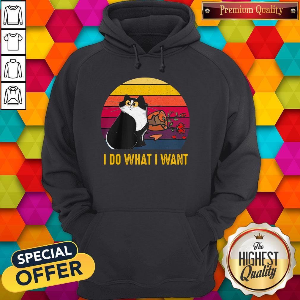 Nice Cat Broke Vase I Do What I Want Vintage Retro Shirt - Image 5