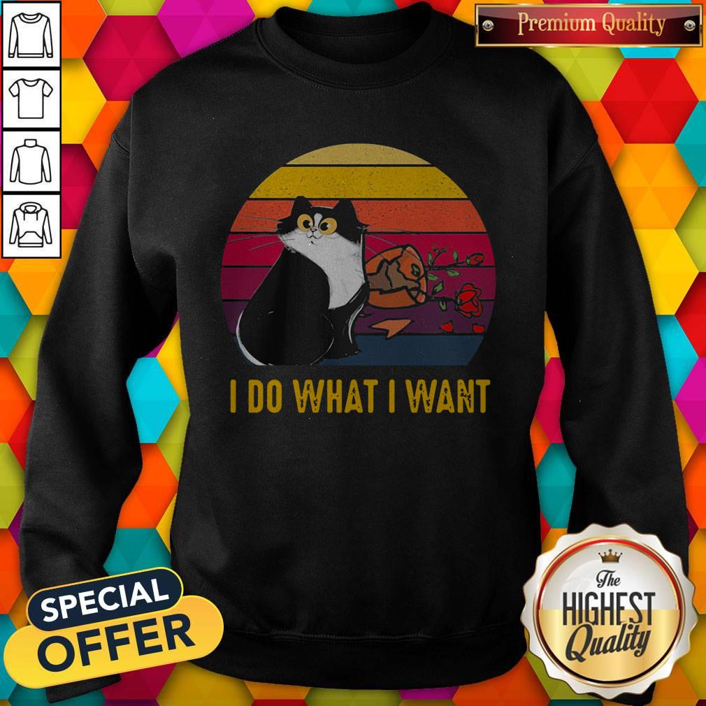 Nice Cat Broke Vase I Do What I Want Vintage Retro Shirt - Image 2
